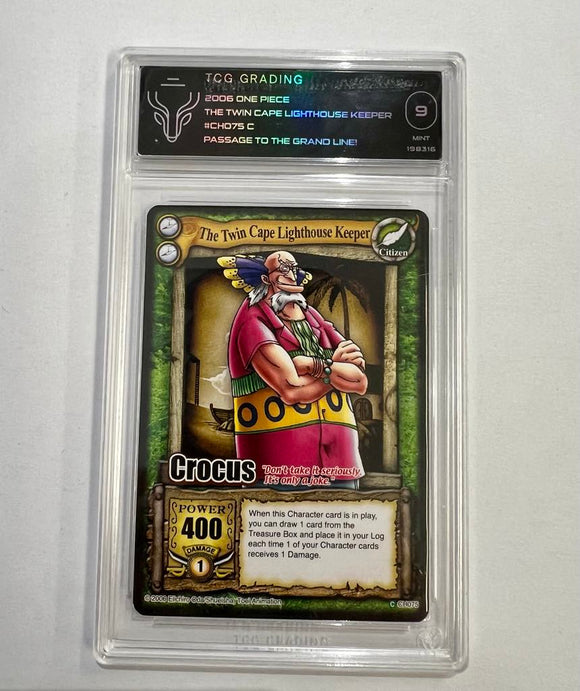 2006 ONE PIECE
