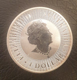 Australian 1oz Silver 2020 Kangaroo Coin