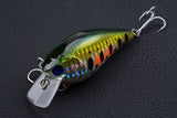 6x 8cm Popper Crank Bait Fishing Lure Lures Surface Tackle Saltwater- FREE SHIPPING