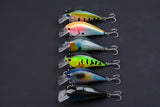 6x 8cm Popper Crank Bait Fishing Lure Lures Surface Tackle Saltwater- FREE SHIPPING