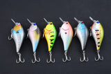 6x 8cm Popper Crank Bait Fishing Lure Lures Surface Tackle Saltwater- FREE SHIPPING