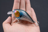 6x 8cm Popper Crank Bait Fishing Lure Lures Surface Tackle Saltwater- FREE SHIPPING